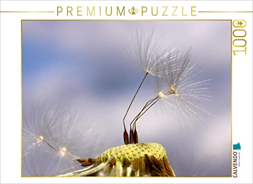 CALVENDO Puzzle Kleine Fallschirme 1000 Teile Puzzle quer | 1000 Teile Lege-Größe 64 x 48 cm Foto-Puzzle für glückliche Stunden CALVENDO Puzzle Kleine Fallschirme 1000 Teile Puzzle quer | 1000 Teile Lege-Größe 64 x 48 cm Foto-Puzzle für glückliche Stunden von CALVENDO