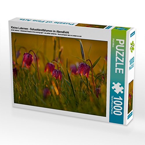 CALVENDO Puzzle Kleine Laternen - Schachbrettblumen im Abendlicht 1000 Teile Lege-Größe 64 x 48 cm Foto-Puzzle Bild von Pörli Won CALVENDO Puzzle Kleine Laternen - Schachbrettblumen im Abendlicht 1000 Teile Lege-Größe 64 x 48 cm Foto-Puzzle Bild von Pörli Won von CALVENDO