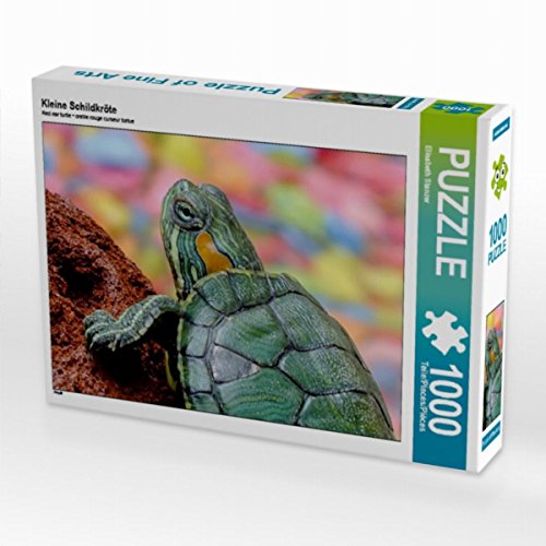 CALVENDO Puzzle Kleine Schildkröte 1000 Teile Lege-Größe 64 x 48 cm Foto-Puzzle Bild von Elisabeth Stanzer CALVENDO Puzzle Kleine Schildkröte 1000 Teile Lege-Größe 64 x 48 cm Foto-Puzzle Bild von Elisabeth Stanzer von CALVENDO