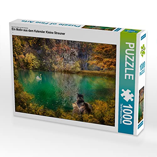 CALVENDO Puzzle Kleine Streuner 1000 Teile Lege-Größe 64 x 48 cm Foto-Puzzle Bild von Simone Wunderlich CALVENDO Puzzle Kleine Streuner 1000 Teile Lege-Größe 64 x 48 cm Foto-Puzzle Bild von Simone Wunderlich von CALVENDO