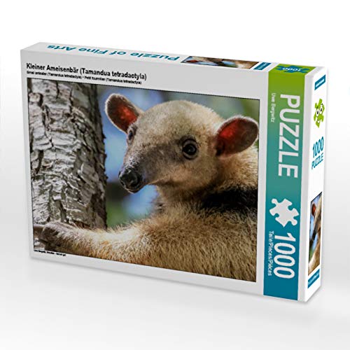 CALVENDO Puzzle Kleiner Ameisenbär (Tamandua tetradactyla) 1000 Teile Puzzle quer | 1000 Teile Lege-Größe 64 x 48 cm Foto-Puzzle für glückliche Stunden von CALVENDO