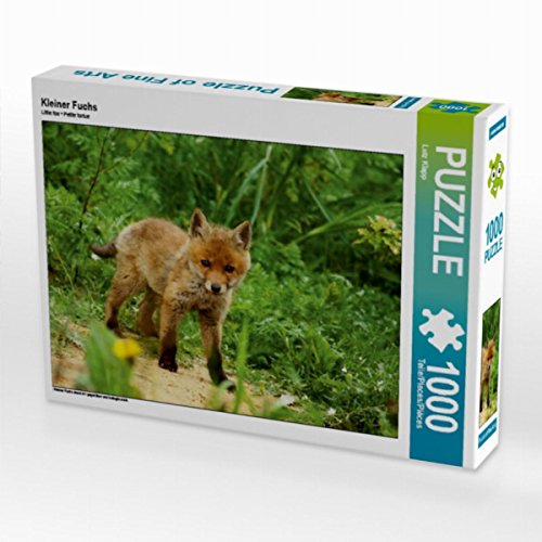 CALVENDO Puzzle Kleiner Fuchs 1000 Teile Lege-Größe 64 x 48 cm Foto-Puzzle Bild von Lutz Klapp von CALVENDO