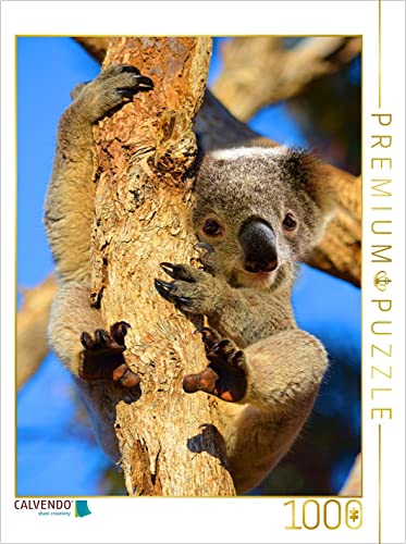 CALVENDO Puzzle Kleiner Koala auf Eukalyptusbaum | 1000 Teile Lege-Größe 48 x 64 cm Foto-Puzzle für glückliche Stunden CALVENDO Puzzle Kleiner Koala auf Eukalyptusbaum | 1000 Teile Lege-Größe 48 x 64 cm Foto-Puzzle für glückliche Stunden von CALVENDO