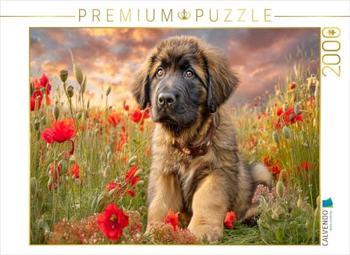 CALVENDO Puzzle Kleiner Leonberger als Herzensbrecher | 2000 Teile Lege-Größe 90 x 67 cm Foto-Puzzle für glückliche Stunden CALVENDO Puzzle Kleiner Leonberger als Herzensbrecher | 2000 Teile Lege-Größe 90 x 67 cm Foto-Puzzle für glückliche Stunden von CALVENDO