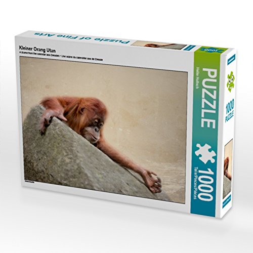 CALVENDO Puzzle Kleiner Orang Utan 1000 Teile Lege-Größe 64 x 48 cm Foto-Puzzle Bild von Heike Hultsch CALVENDO Puzzle Kleiner Orang Utan 1000 Teile Lege-Größe 64 x 48 cm Foto-Puzzle Bild von Heike Hultsch von CALVENDO