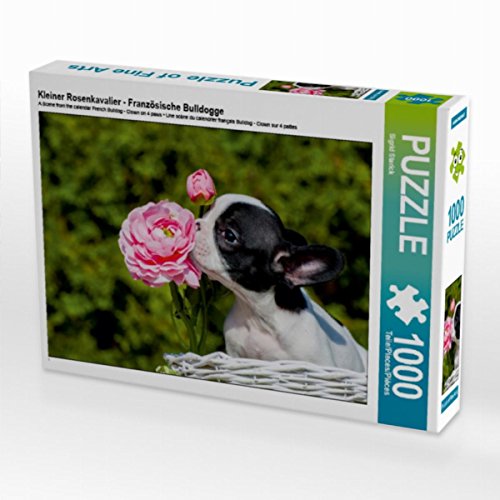 CALVENDO Puzzle Kleiner Rosenkavalier - Französische Bulldogge 1000 Teile Lege-Größe 64 x 48 cm Foto-Puzzle Bild von Sista-Tierfoto von CALVENDO