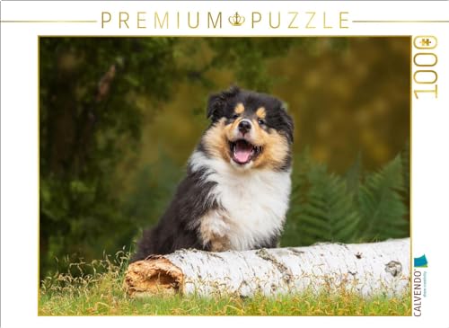 CALVENDO Puzzle Kleiner Weltentdecker - EIN Colliewelpe | 1000 Teile Lege-Größe 64 x 48 cm Foto-Puzzle für glückliche Stunden CALVENDO Puzzle Kleiner Weltentdecker - EIN Colliewelpe | 1000 Teile Lege-Größe 64 x 48 cm Foto-Puzzle für glückliche Stunden von CALVENDO
