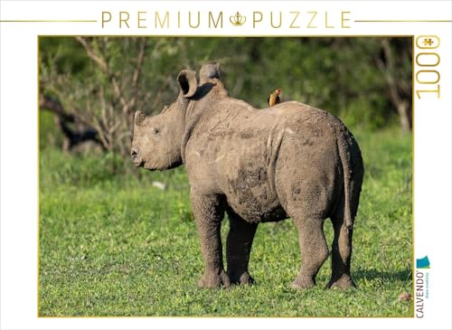 CALVENDO Puzzle Kleines Breitmaulnashorn mit Madenhacker in Südafrika | 1000 Teile Lege-Größe 64 x 48 cm Foto-Puzzle für glückliche Stunden CALVENDO Puzzle Kleines Breitmaulnashorn mit Madenhacker in Südafrika | 1000 Teile Lege-Größe 64 x 48 cm Foto-Puzzle für glückliche Stunden von CALVENDO