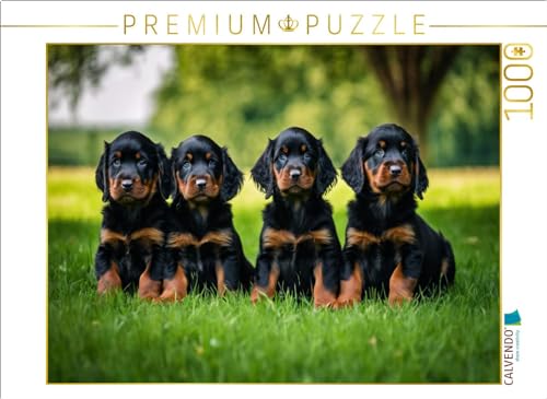 CALVENDO Puzzle Knuffige Gordon Setter Welpen | 1000 Teile Lege-Größe 64 x 48 cm Foto-Puzzle für glückliche Stunden CALVENDO Puzzle Knuffige Gordon Setter Welpen | 1000 Teile Lege-Größe 64 x 48 cm Foto-Puzzle für glückliche Stunden von CALVENDO
