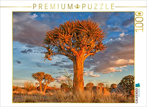 CALVENDO Puzzle Köcherbaum, Augrabies Falls National Park, Südafrika 1000 Teile Puzzle quer | 1000 Teile Lege-Größe 64 x 48 cm Foto-Puzzle für glückliche Stunden von CALVENDO