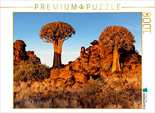 CALVENDO Puzzle Köcherbaum im Abendlicht in der Namib Wüste in Namibia 1000 Teile Puzzle quer | 1000 Teile Lege-Größe 64 x 48 cm Foto-Puzzle für glückliche Stunden von CALVENDO