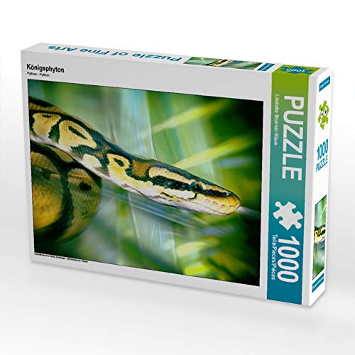 CALVENDO Puzzle Königsphyton 1000 Teile Puzzle quer | 1000 Teile Lege-Größe 64 x 48 cm Foto-Puzzle für glückliche Stunden CALVENDO Puzzle Königsphyton 1000 Teile Puzzle quer | 1000 Teile Lege-Größe 64 x 48 cm Foto-Puzzle für glückliche Stunden von CALVENDO