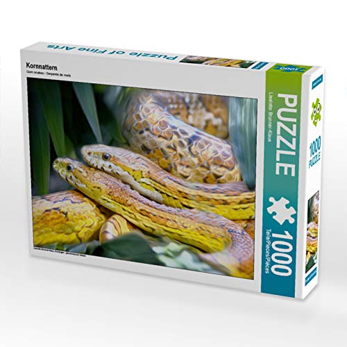 CALVENDO Puzzle Kornnattern 1000 Teile Puzzle quer | Lege-Größe cm Foto-Puzzle für glückliche Stunden CALVENDO Puzzle Kornnattern 1000 Teile Puzzle quer | Lege-Größe cm Foto-Puzzle für glückliche Stunden von CALVENDO