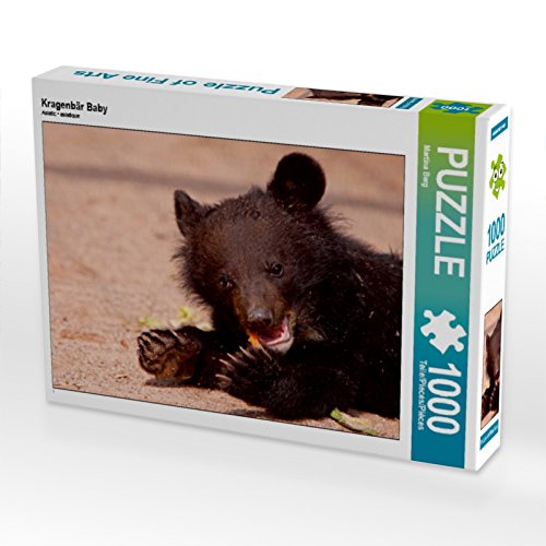 CALVENDO Puzzle Kragenbär Baby 1000 Teile Puzzle quer | 1000 Teile Lege-Größe 64 x 48 cm Foto-Puzzle für glückliche Stunden CALVENDO Puzzle Kragenbär Baby 1000 Teile Puzzle quer | 1000 Teile Lege-Größe 64 x 48 cm Foto-Puzzle für glückliche Stunden von CALVENDO