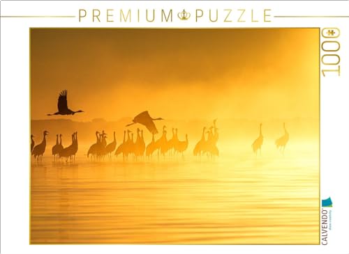 CALVENDO Puzzle Kraniche am Schlafplatz, am Müritzufer | 1000 Teile Lege-Größe 64 x 48 cm Foto-Puzzle für glückliche Stunden von CALVENDO