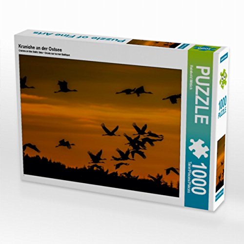 CALVENDO Puzzle Kraniche an der Ostsee 1000 Teile Lege-Größe 64 x 48 cm Foto-Puzzle Bild von Reinhold Wittich von CALVENDO