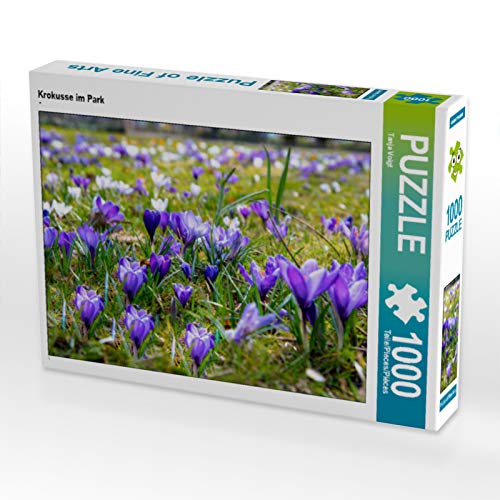 CALVENDO Puzzle Krokusse im Park 1000 Teile Puzzle quer | 1000 Teile Lege-Größe 64 x 48 cm Foto-Puzzle für glückliche Stunden von CALVENDO