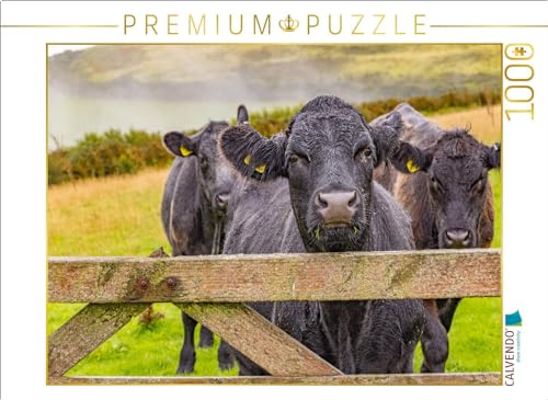 CALVENDO Puzzle Kühe im Exmoor Nationalpark | Lege-Größe cm Foto-Puzzle für glückliche Stunden von CALVENDO