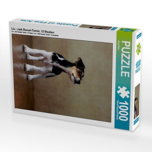 CALVENDO Puzzle LIU - Jack Russel-Terrier, 10 Wochen 1000 Teile Puzzle hoch | 1000 Teile Lege-Größe 48 x 64 cm Foto-Puzzle für glückliche Stunden CALVENDO Puzzle LIU - Jack Russel-Terrier, 10 Wochen 1000 Teile Puzzle hoch | 1000 Teile Lege-Größe 48 x 64 cm Foto-Puzzle für glückliche Stunden von CALVENDO