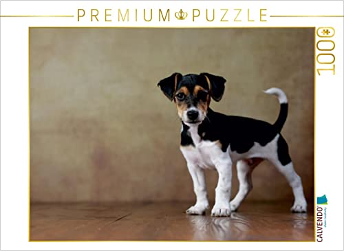 CALVENDO Puzzle LIU - Jack Russell Terrier, 10 Wochen 1000 Teile Puzzle quer | 1000 Teile Lege-Größe 64 x 48 cm Foto-Puzzle für glückliche Stunden CALVENDO Puzzle LIU - Jack Russell Terrier, 10 Wochen 1000 Teile Puzzle quer | 1000 Teile Lege-Größe 64 x 48 cm Foto-Puzzle für glückliche Stunden von CALVENDO