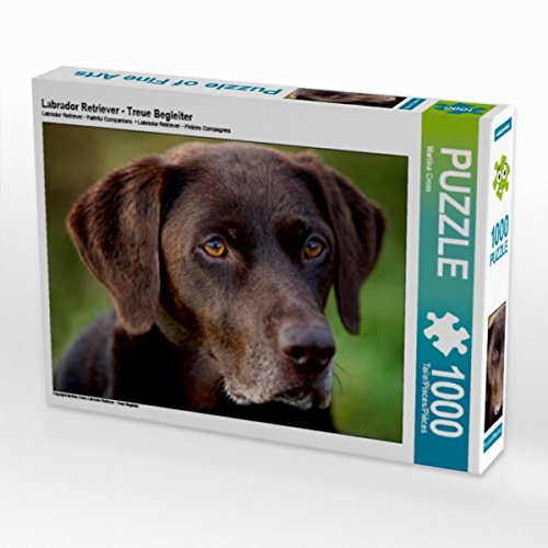 CALVENDO Puzzle Labrador Retriever - Treue Begleiter 1000 Teile Puzzle quer | 1000 Teile Lege-Größe 64 x 48 cm Foto-Puzzle für glückliche Stunden von CALVENDO