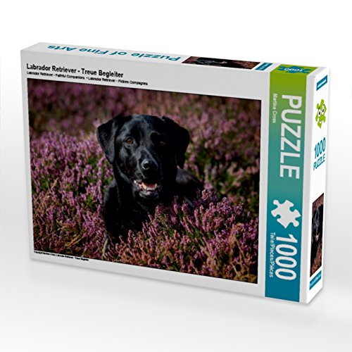 CALVENDO Puzzle Labrador Retriever - Treue Begleiter 1000 Teile Puzzle quer | 1000 Teile Lege-Größe 64 x 48 cm Foto-Puzzle für glückliche Stunden CALVENDO Puzzle Labrador Retriever - Treue Begleiter 1000 Teile Puzzle quer | 1000 Teile Lege-Größe 64 x 48 cm Foto-Puzzle für glückliche Stunden von CALVENDO