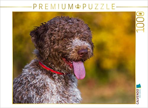 CALVENDO Puzzle Lagotto Romagnolo - Italienischer Trüffelhund im Herbst 1000 Teile Puzzle quer | 1000 Teile Lege-Größe 64 x 48 cm Foto-Puzzle für glückliche Stunden von CALVENDO