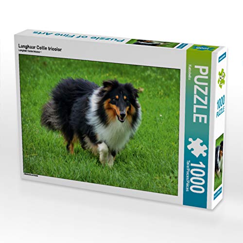 CALVENDO Puzzle Langhaar Collie Tricolor 1000 Teile Puzzle quer | 1000 Teile Lege-Größe 64 x 48 cm Foto-Puzzle für glückliche Stunden von CALVENDO