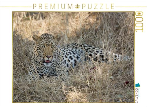 CALVENDO Puzzle Leopard 1000 Teile Puzzle quer | 1000 Teile Lege-Größe 64 x 48 cm Foto-Puzzle für glückliche Stunden CALVENDO Puzzle Leopard 1000 Teile Puzzle quer | 1000 Teile Lege-Größe 64 x 48 cm Foto-Puzzle für glückliche Stunden von CALVENDO