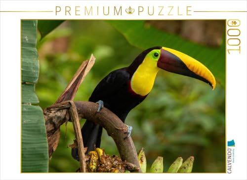 CALVENDO Puzzle Leuchtender Goldkehltukan im Regenwald 1000 Teile Lege-Größe 64 x 48 cm Foto-Puzzle Bild von Marion Springer CALVENDO Puzzle Leuchtender Goldkehltukan im Regenwald 1000 Teile Lege-Größe 64 x 48 cm Foto-Puzzle Bild von Marion Springer von CALVENDO