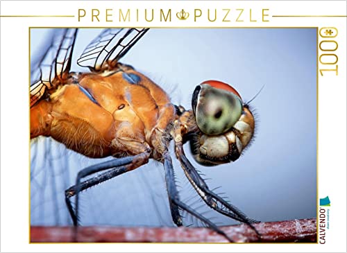 CALVENDO Puzzle Libelle 1000 Teile Puzzle quer | 1000 Teile Lege-Größe 64 x 48 cm Foto-Puzzle für glückliche Stunden CALVENDO Puzzle Libelle 1000 Teile Puzzle quer | 1000 Teile Lege-Größe 64 x 48 cm Foto-Puzzle für glückliche Stunden von CALVENDO