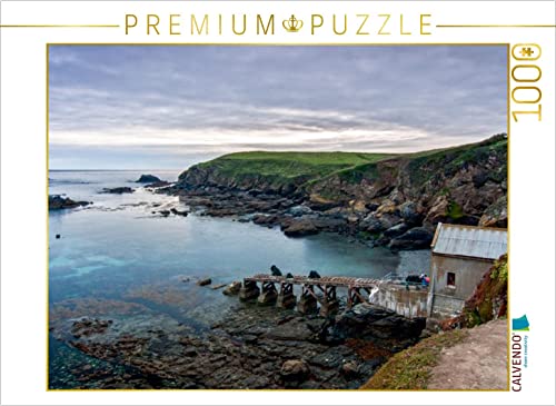 CALVENDO Puzzle Lizard Point 1000 Teile Puzzle quer | Lege-Größe cm Foto-Puzzle für glückliche Stunden von CALVENDO