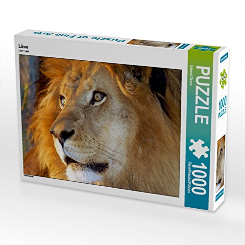 CALVENDO Puzzle Löwe 1000 Teile Puzzle quer | Lege-Größe cm Foto-Puzzle für glückliche Stunden von CALVENDO