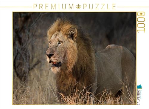 CALVENDO Puzzle Löwe Afrikas Tiere im Fokus 1000 Teile Puzzle quer | Lege-Größe cm Foto-Puzzle für glückliche Stunden von CALVENDO
