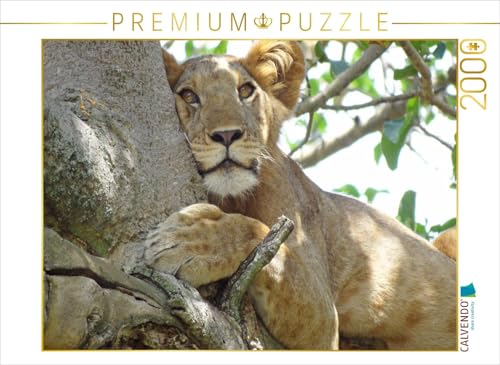 CALVENDO Puzzle Löwen auf Feigenbäumen 2000 Teile Puzzle quer | 2000 Teile Lege-Größe 90 x 67 cm Foto-Puzzle für glückliche Stunden CALVENDO Puzzle Löwen auf Feigenbäumen 2000 Teile Puzzle quer | 2000 Teile Lege-Größe 90 x 67 cm Foto-Puzzle für glückliche Stunden von CALVENDO