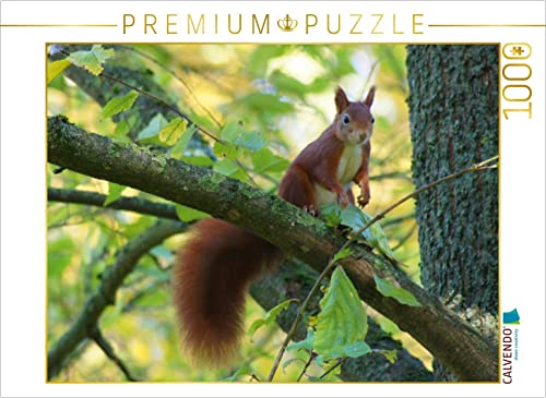 CALVENDO Puzzle Mach Männchen 1000 Teile Puzzle quer | 1000 Teile Lege-Größe 64 x 48 cm Foto-Puzzle für glückliche Stunden CALVENDO Puzzle Mach Männchen 1000 Teile Puzzle quer | 1000 Teile Lege-Größe 64 x 48 cm Foto-Puzzle für glückliche Stunden von CALVENDO