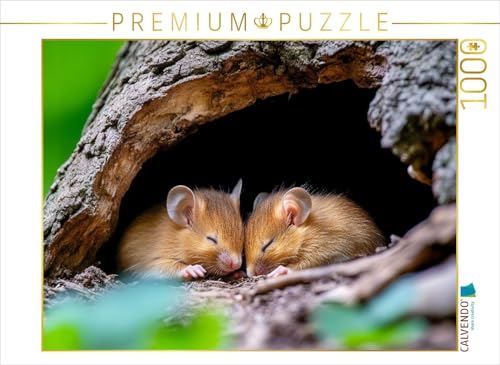 CALVENDO Puzzle Mäuse | 1000 Teile Lege-Größe 64 x 48 cm Foto-Puzzle für glückliche Stunden von CALVENDO