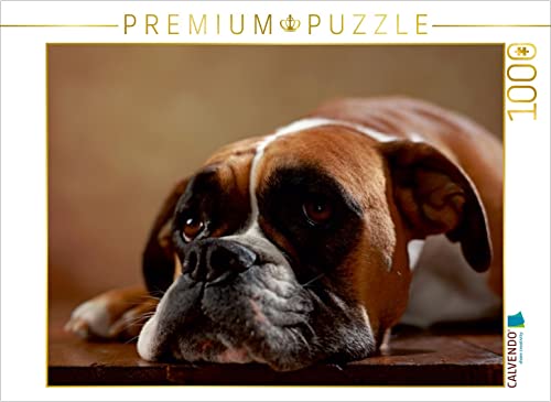 CALVENDO Puzzle Maja - Amerikanischer Boxer, 3 Jahre 1000 Teile Puzzle quer | 1000 Teile Lege-Größe 64 x 48 cm Foto-Puzzle für glückliche Stunden CALVENDO Puzzle Maja - Amerikanischer Boxer, 3 Jahre 1000 Teile Puzzle quer | 1000 Teile Lege-Größe 64 x 48 cm Foto-Puzzle für glückliche Stunden von CALVENDO