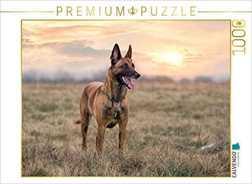 CALVENDO Puzzle Malinois - Belgische Energiebündel 1000 Teile Lege-Größe 64 x 48 cm Foto-Puzzle Bild von Martina Wrede von CALVENDO