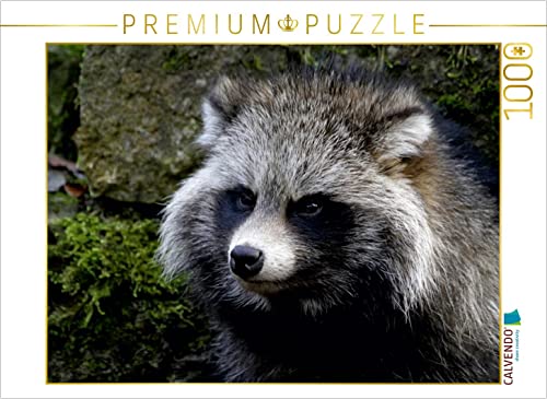 CALVENDO Puzzle Marderhund 1000 Teile Puzzle quer | 1000 Teile Lege-Größe 64 x 48 cm Foto-Puzzle für glückliche Stunden CALVENDO Puzzle Marderhund 1000 Teile Puzzle quer | 1000 Teile Lege-Größe 64 x 48 cm Foto-Puzzle für glückliche Stunden von CALVENDO
