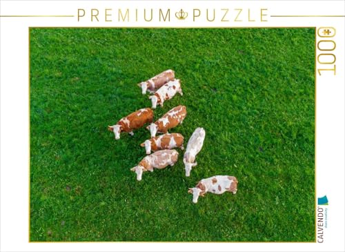 CALVENDO Puzzle Mehrere braun-weiße Kühe grasen friedlich auf Einer saftig grünen Weide im Allgäu aus der Luft | 1000 Teile Lege-Größe 64 x 48 cm Foto-Puzzle für glückliche Stunden CALVENDO Puzzle Mehrere braun-weiße Kühe grasen friedlich auf Einer saftig grünen Weide im Allgäu aus der Luft | 1000 Teile Lege-Größe 64 x 48 cm Foto-Puzzle für glückliche Stunden von CALVENDO