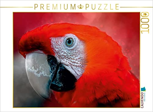 CALVENDO Puzzle Mein bunter Papagei 1000 Teile Puzzle quer | 1000 Teile Lege-Größe 64 x 48 cm Foto-Puzzle für glückliche Stunden von CALVENDO