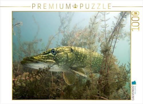 CALVENDO Puzzle Meister der Tarnung | Lege-Größe cm Foto-Puzzle für glückliche Stunden von CALVENDO