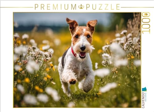 CALVENDO Puzzle Mit Volldampf über die Wiese | 1000 Teile Lege-Größe 64 x 48 cm Foto-Puzzle für glückliche Stunden CALVENDO Puzzle Mit Volldampf über die Wiese | 1000 Teile Lege-Größe 64 x 48 cm Foto-Puzzle für glückliche Stunden von CALVENDO