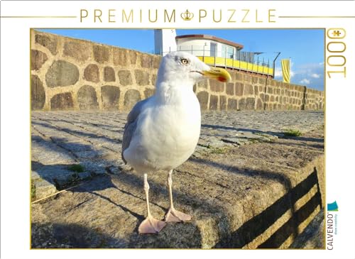 CALVENDO Puzzle Möwe am Alten Hafen von Sassnitz | 1000 Teile Lege-Größe 64 x 48 cm Foto-Puzzle für glückliche Stunden CALVENDO Puzzle Möwe am Alten Hafen von Sassnitz | 1000 Teile Lege-Größe 64 x 48 cm Foto-Puzzle für glückliche Stunden von CALVENDO