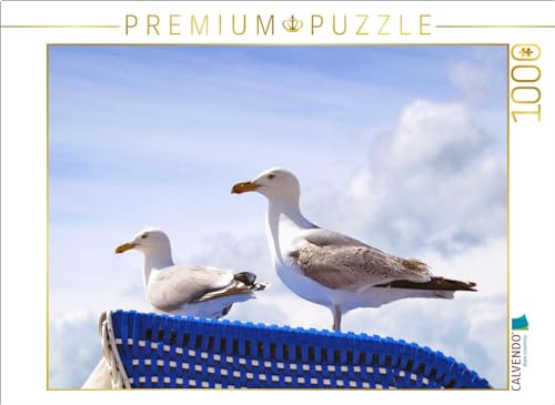 CALVENDO Puzzle Möwen auf einem Strandkorb an der Ostsee | 1000 Teile Lege-Größe 64 x 48 cm Foto-Puzzle für glückliche Stunden von CALVENDO