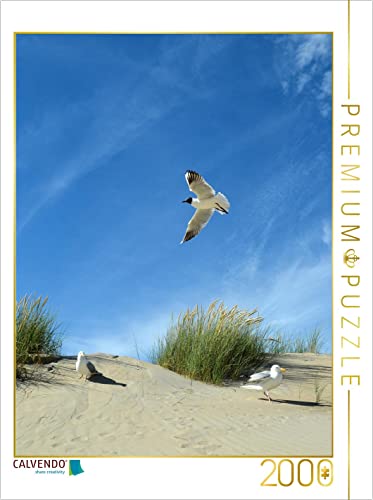 CALVENDO Puzzle Möwen und Seeschwalbe in Einer Düne 2000 Teile Puzzle hoch | 2000 Teile Lege-Größe 67 x 90 cm Foto-Puzzle für glückliche Stunden CALVENDO Puzzle Möwen und Seeschwalbe in Einer Düne 2000 Teile Puzzle hoch | 2000 Teile Lege-Größe 67 x 90 cm Foto-Puzzle für glückliche Stunden von CALVENDO