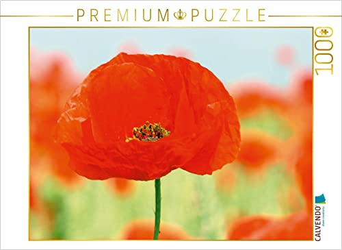 CALVENDO Puzzle Mohnblumen-EIN Traum in rot 1000 Teile Puzzle quer | 1000 Teile Lege-Größe 64 x 48 cm Foto-Puzzle für glückliche Stunden CALVENDO Puzzle Mohnblumen-EIN Traum in rot 1000 Teile Puzzle quer | 1000 Teile Lege-Größe 64 x 48 cm Foto-Puzzle für glückliche Stunden von CALVENDO