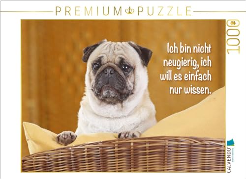 CALVENDO Puzzle Mops schaut aufmerksam | 1000 Teile Lege-Größe 64 x 48 cm Foto-Puzzle für glückliche Stunden von CALVENDO