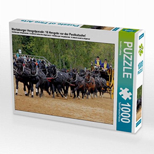CALVENDO Puzzle Moritzburger Hengstparade: 16 Hengste vor der Postkutsche! 1000 Teile Lege-Größe 64 x 48 cm Foto-Puzzle Bild von Sandra Ludwig CALVENDO Puzzle Moritzburger Hengstparade: 16 Hengste vor der Postkutsche! 1000 Teile Lege-Größe 64 x 48 cm Foto-Puzzle Bild von Sandra Ludwig von CALVENDO